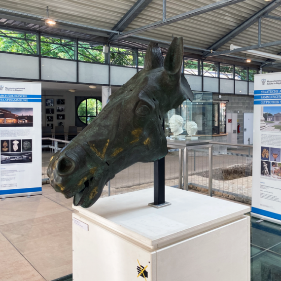Replik eines römischen Pferdekopfes in der Netzwerkausstellung